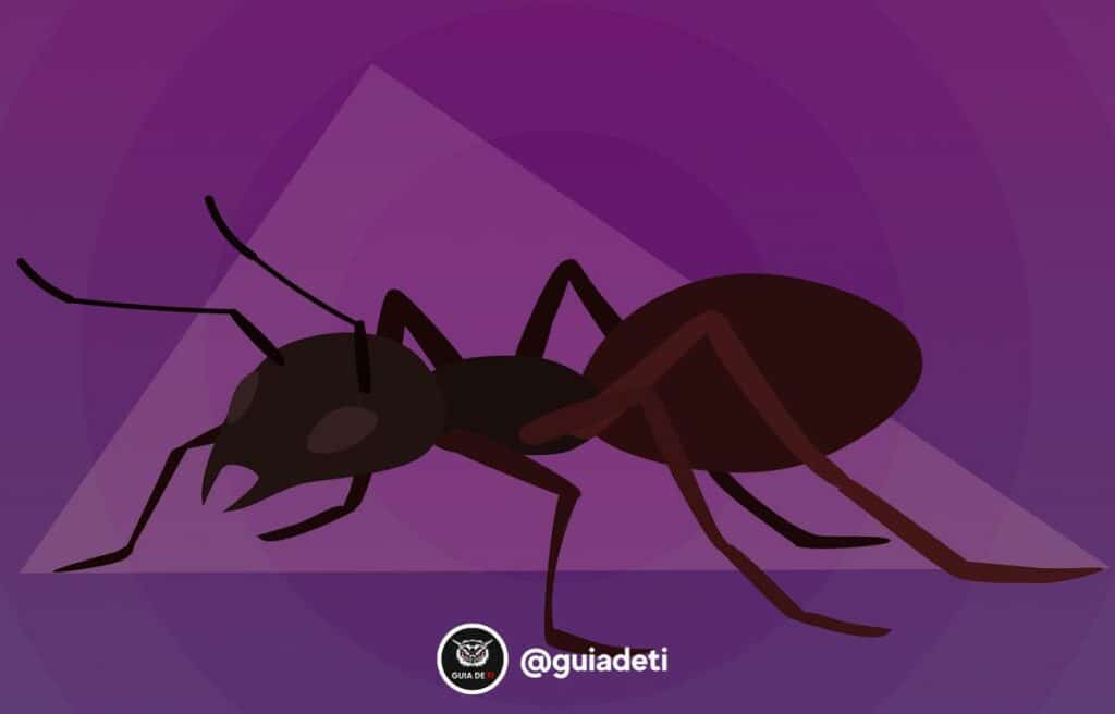 Imagem 1 - Curso de Apache Ant