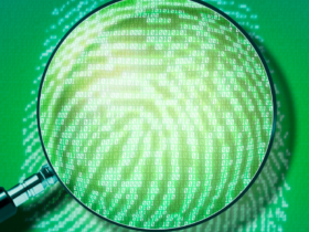 Live de Forense Digital Gratuita